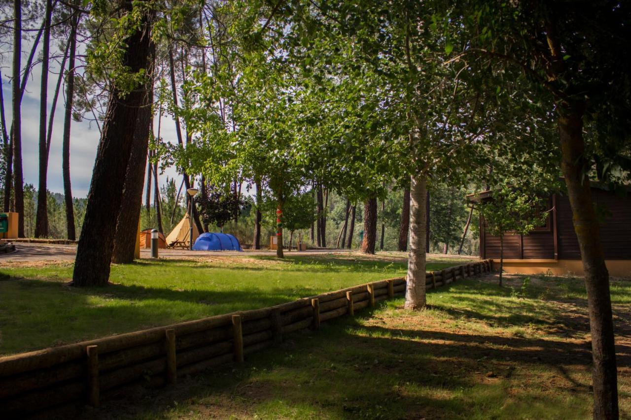 Xisto Camping Janeiro de Baixo Extérieur photo
